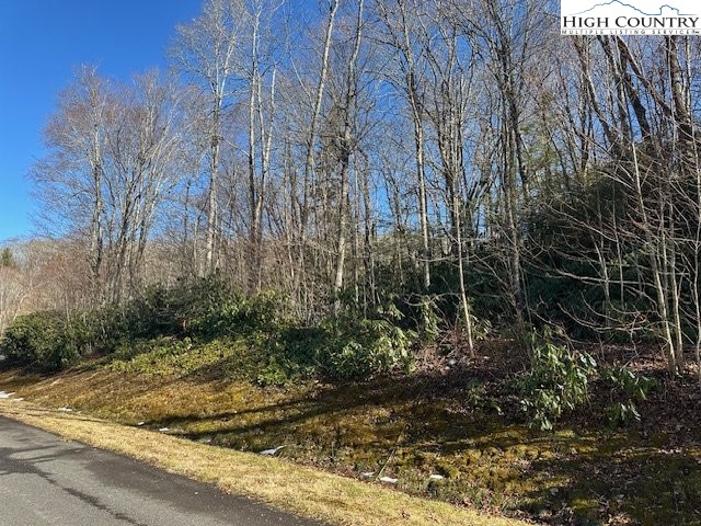 TBD Lot 43 Linville River Lane