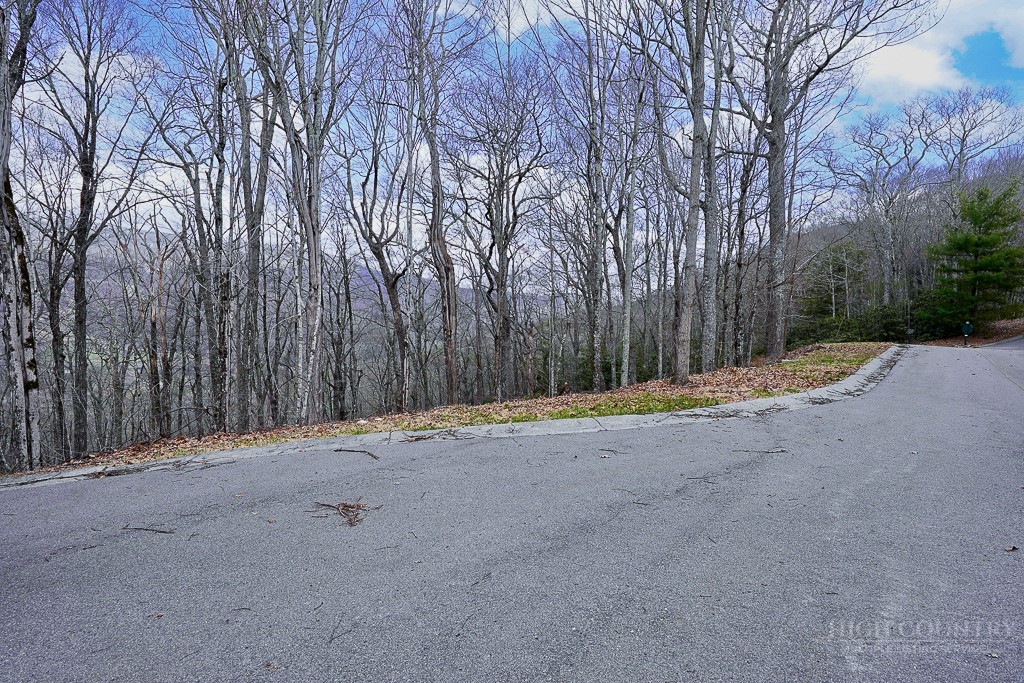 TBD Lot #46 Woodlily Drive