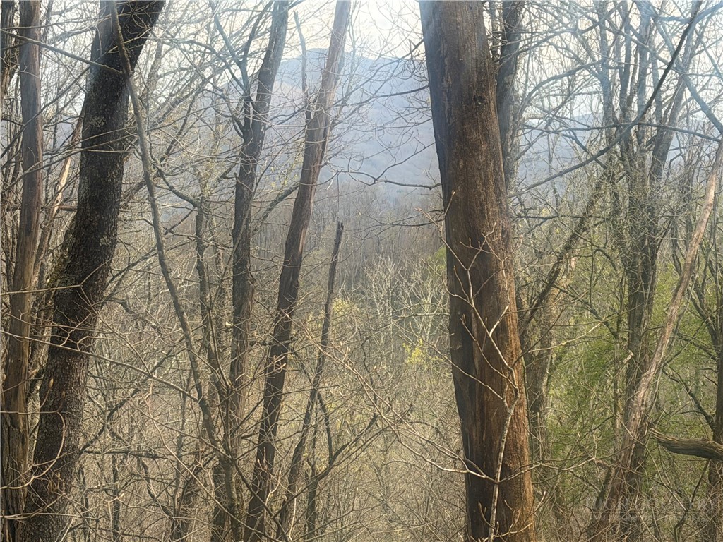 TBD Lot 48 Rainbow Ridge