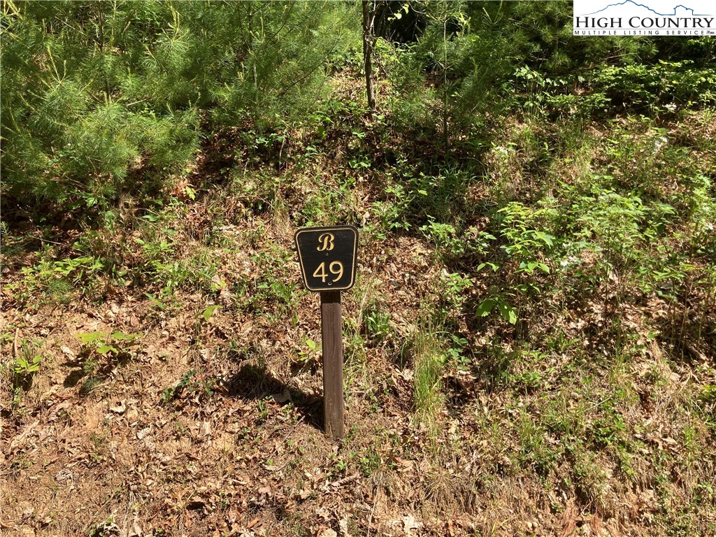 TBD Brightwater-Lot 49 Trail