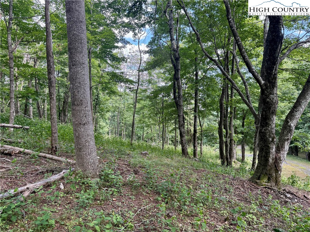 TBD Lot #5 Mystery Mountain Drive