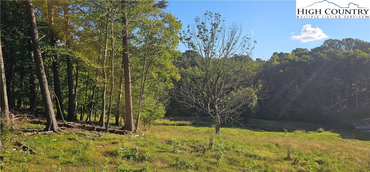 TBD (Lot 52) Poplar Forest Drive