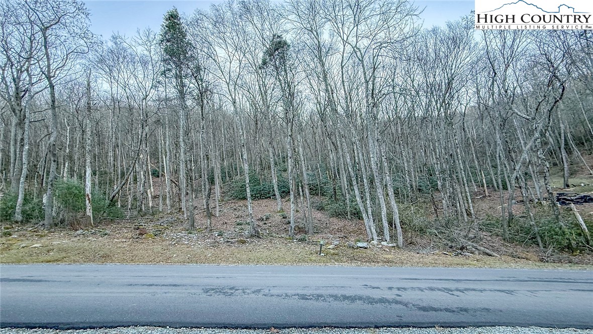 TBD Lot 61 Wildcat Wilderness Parkway
