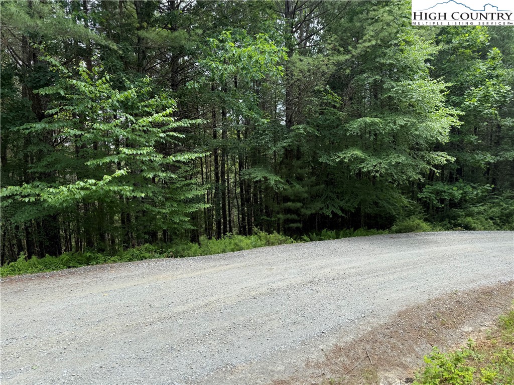 TBD (Lot 62) Dave's Connector Road