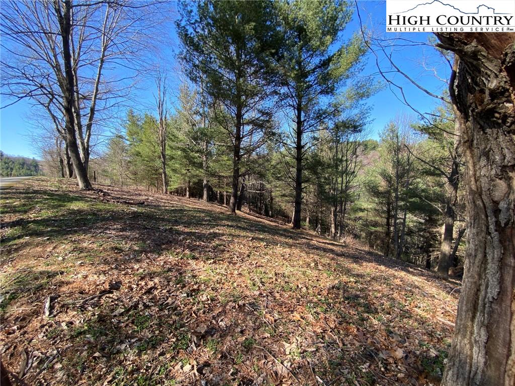 MLS 229421 TBD Lot 68 Village Pine Drive, Jefferson, NC 28640