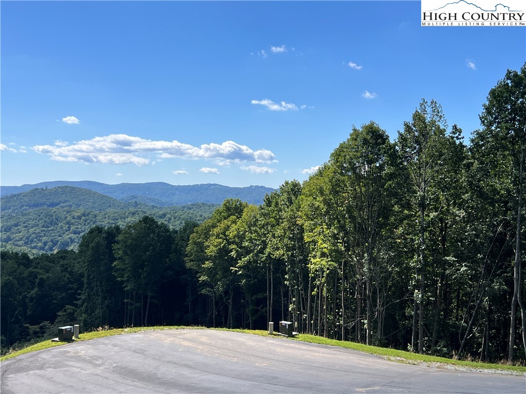 TBD (Lot 69) Poplar Forest Drive