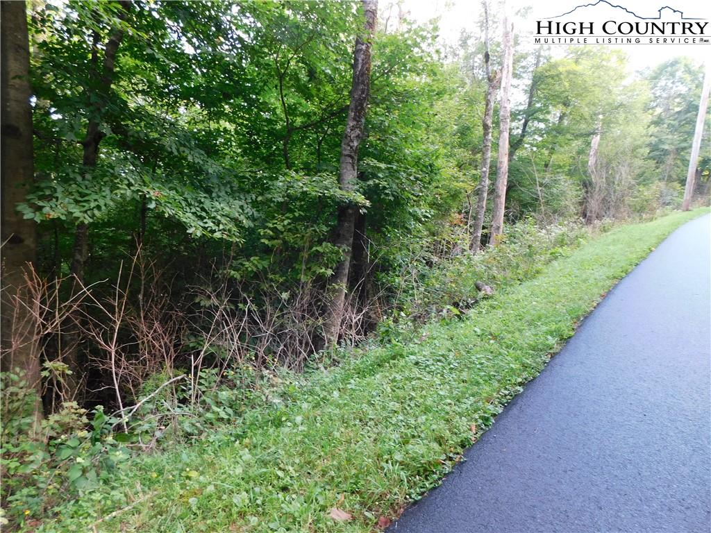 MLS 224350 TBD Lot 9 Meadow Avenue, Banner Elk, NC 28604