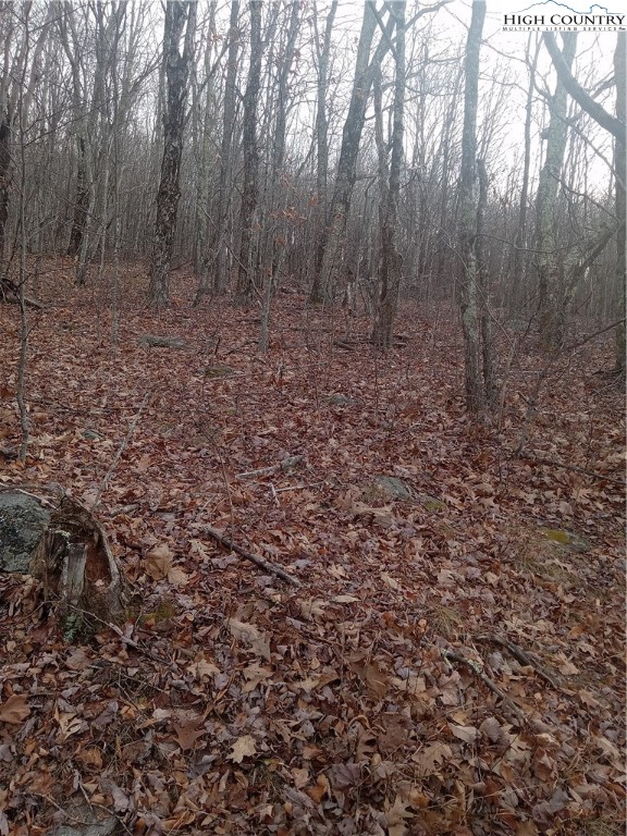 tbd Middle Fork Lane