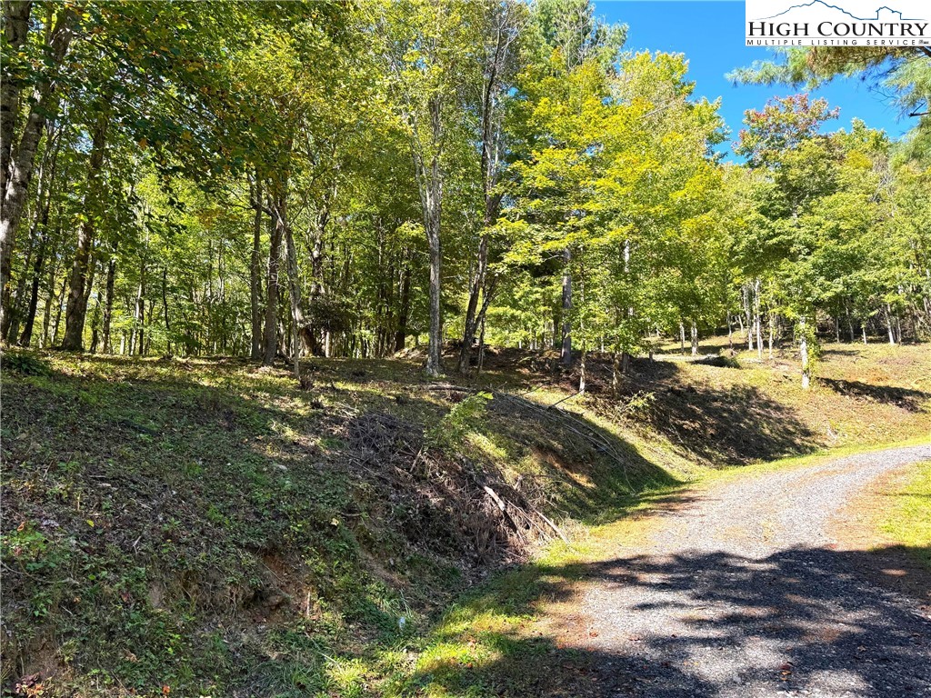 TBD Mystery Mountain Drive