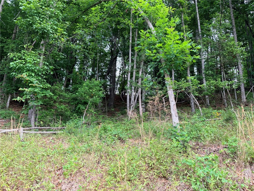 TBD N Marley Ford Road