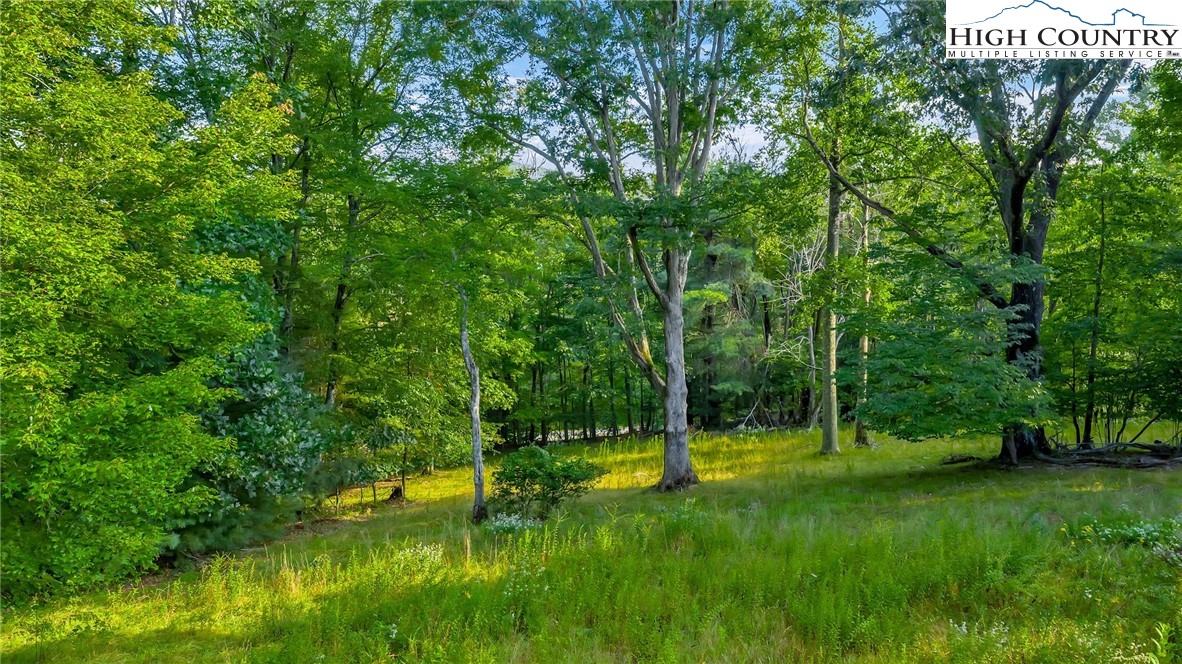 TBD NC Hwy 88 E