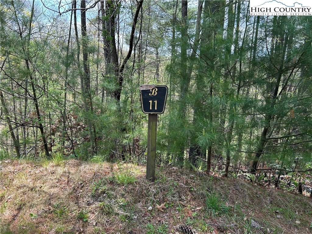 TBD New River Overlook (Lot 11) Road