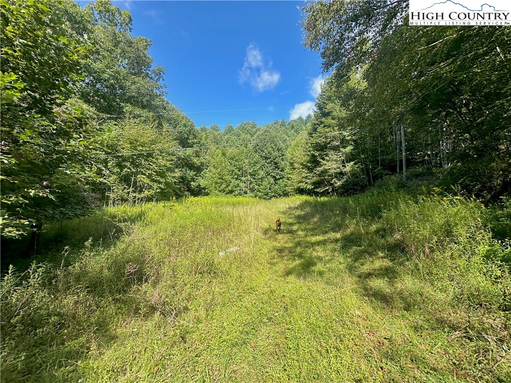 TBD Old Anderson Quarry Road