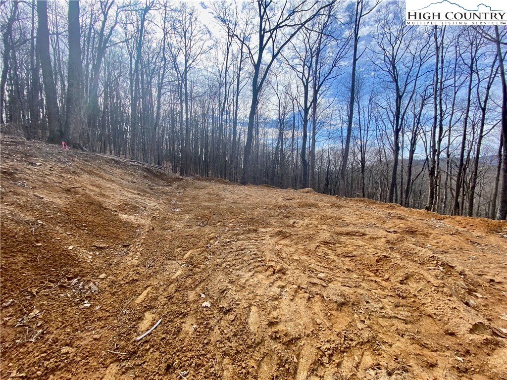 TBD Old Chestnut Mountain Road