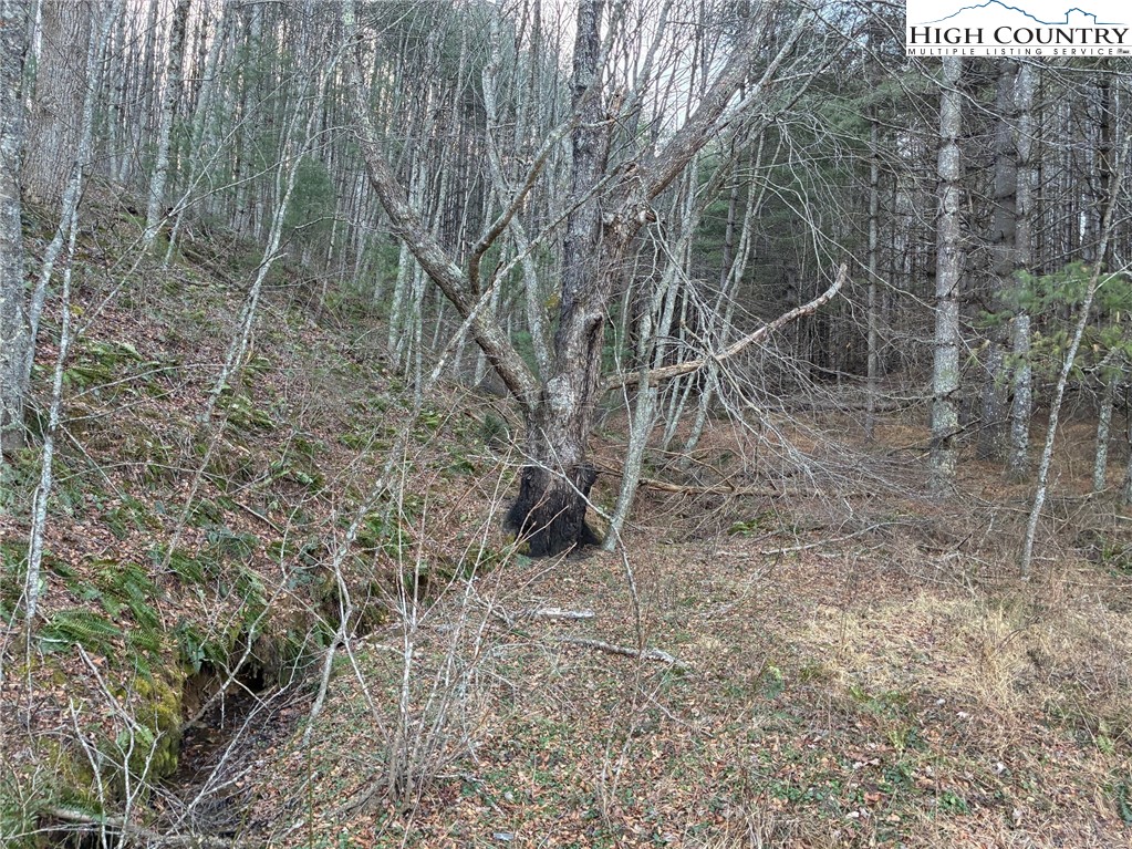 TBD Old Highway 16 Highway