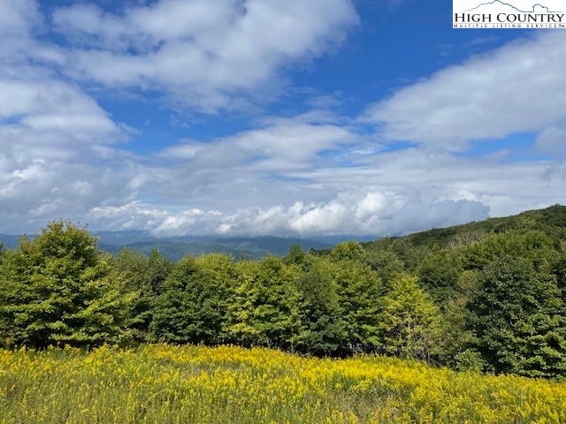 TBD Old Mountain Road