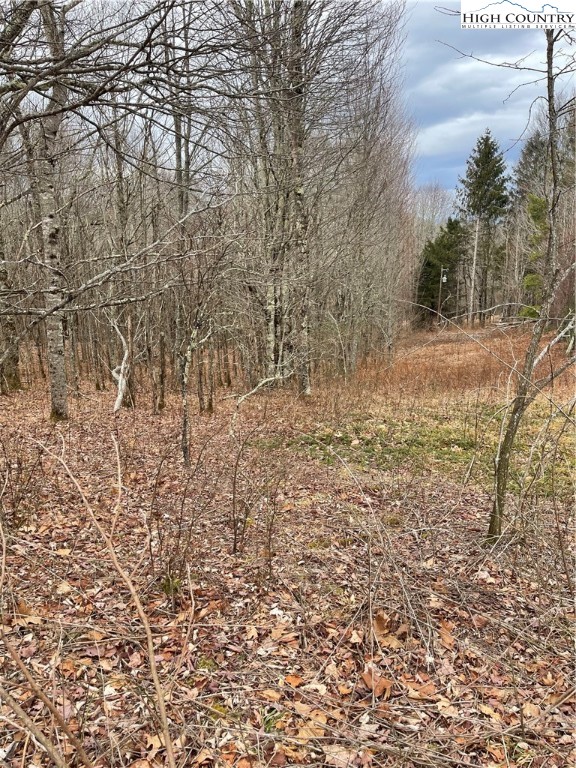 TBD Old Mountain Road