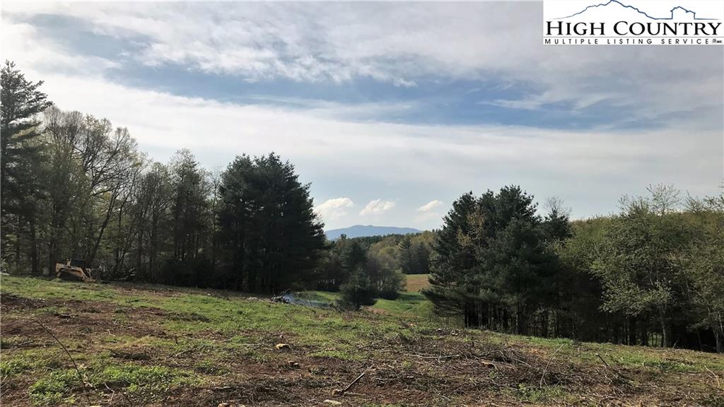 MLS 214130 TBD Old Wilkesboro Road, Glendale Springs, NC 28629