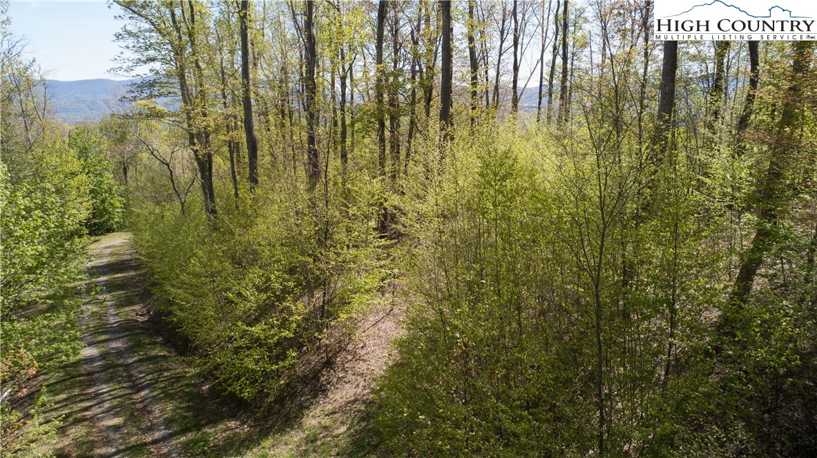 TBD Olde Forest Ln. #57 Hunters Ridge Lane