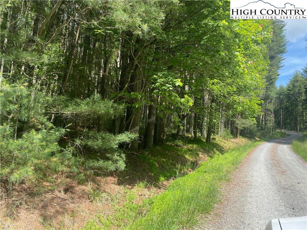 MLS 230985 TBD Pine Grove Circle, Sparta, NC 28675