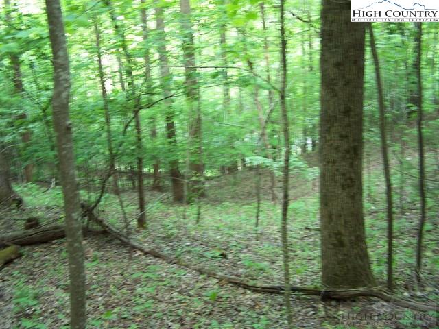Tbd Powder Horn Mountain Road N/A
