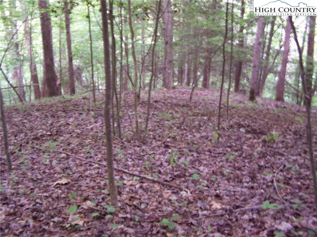 Tbd Powder Horn Mountain Road N/A