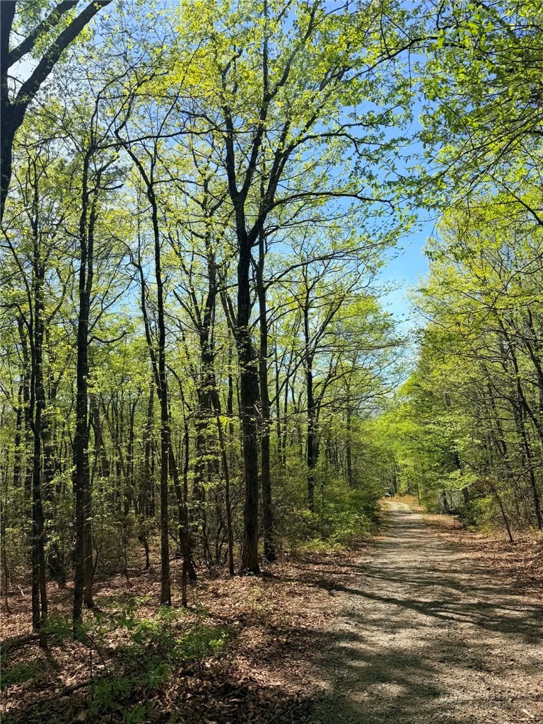 TBD Raven Ridge Trail
