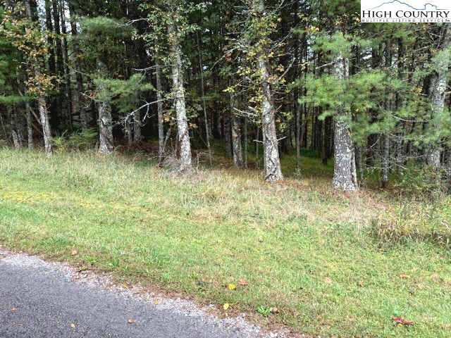 TBD River Forest Road