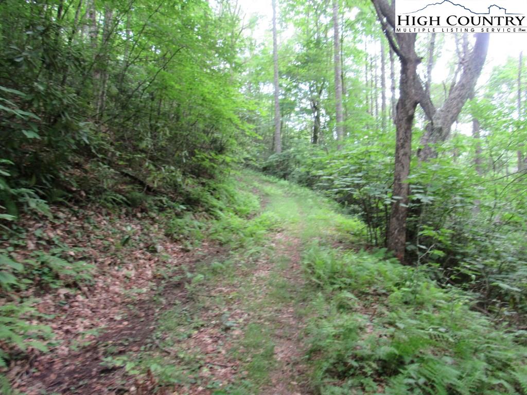 MLS 216072 TBD Roaring Fork Road, Creston, NC 28615