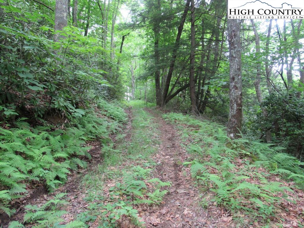 MLS 216072 TBD Roaring Fork Road, Creston, NC 28615