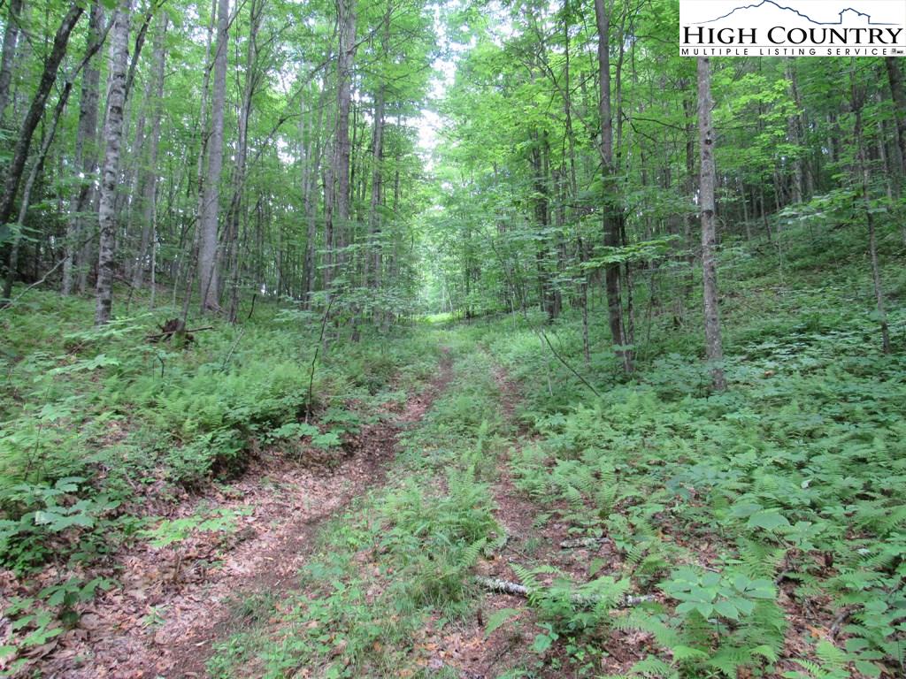 MLS 216072 TBD Roaring Fork Road, Creston, NC 28615