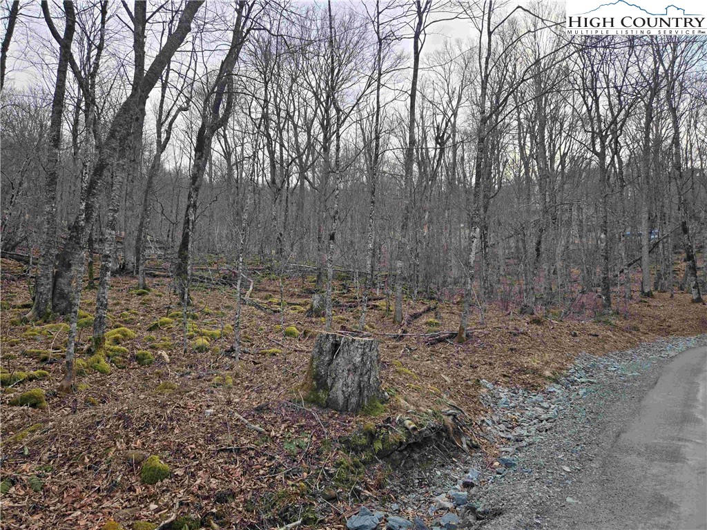 TBD Rock Spring Circle