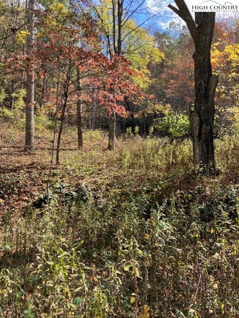 TBD S NC Hwy 194