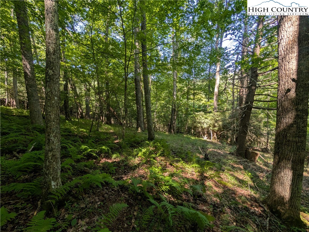 TBD Sharon Sweeney Road