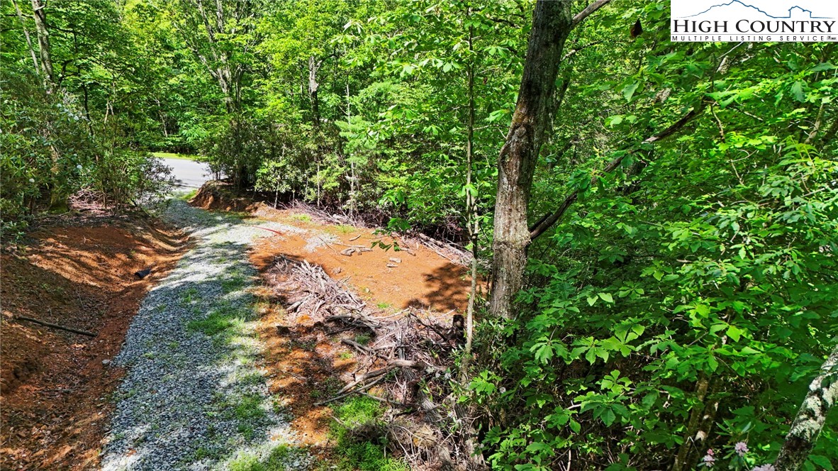 TBD Shulls Mill Road