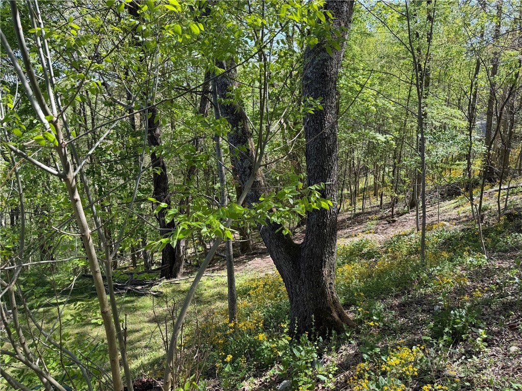 TBD Ski Mountain Road