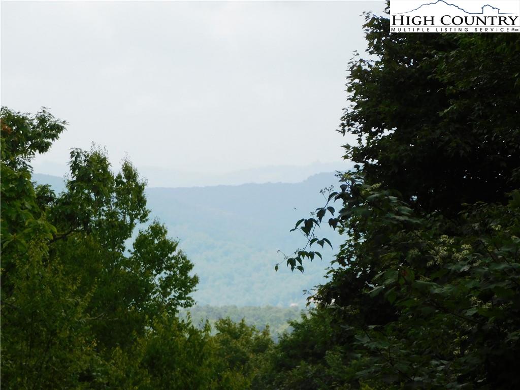 TBD South View Trail