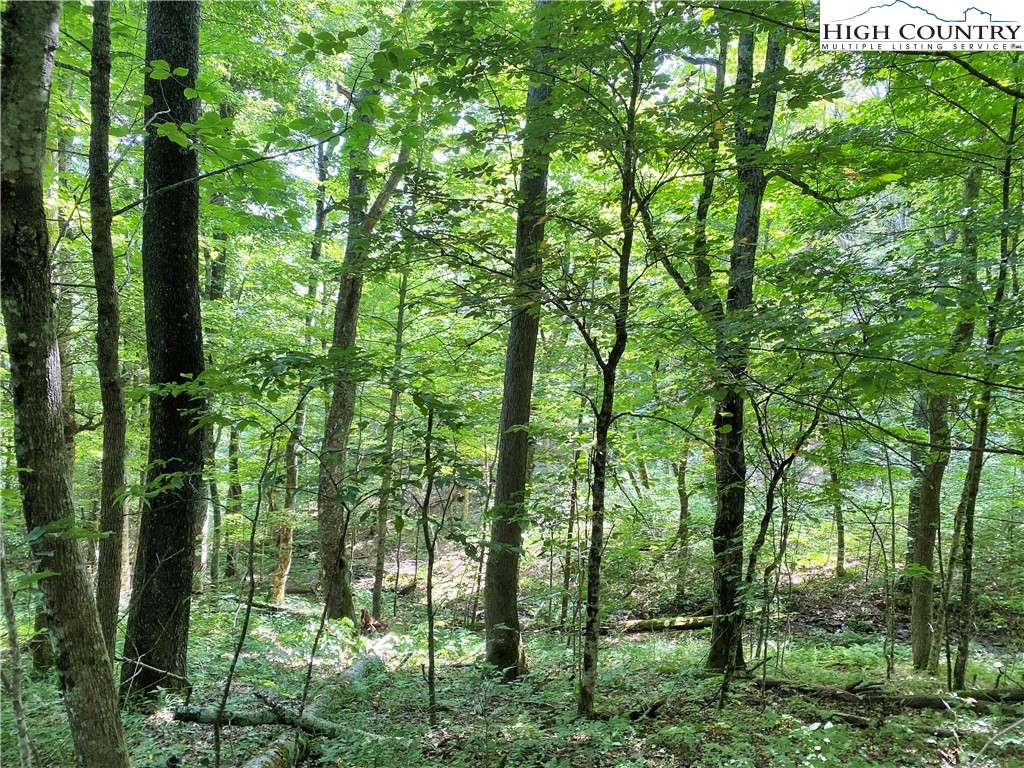 TBD Spring Mountain Trail