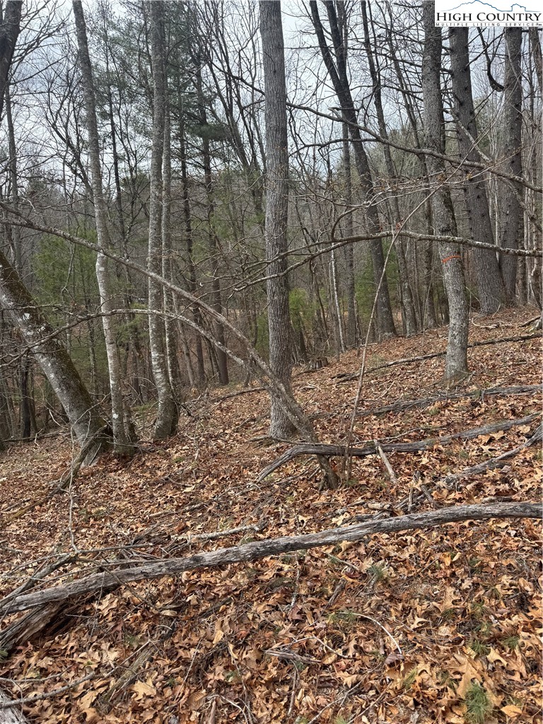 TBD The Peaks Regal Drive