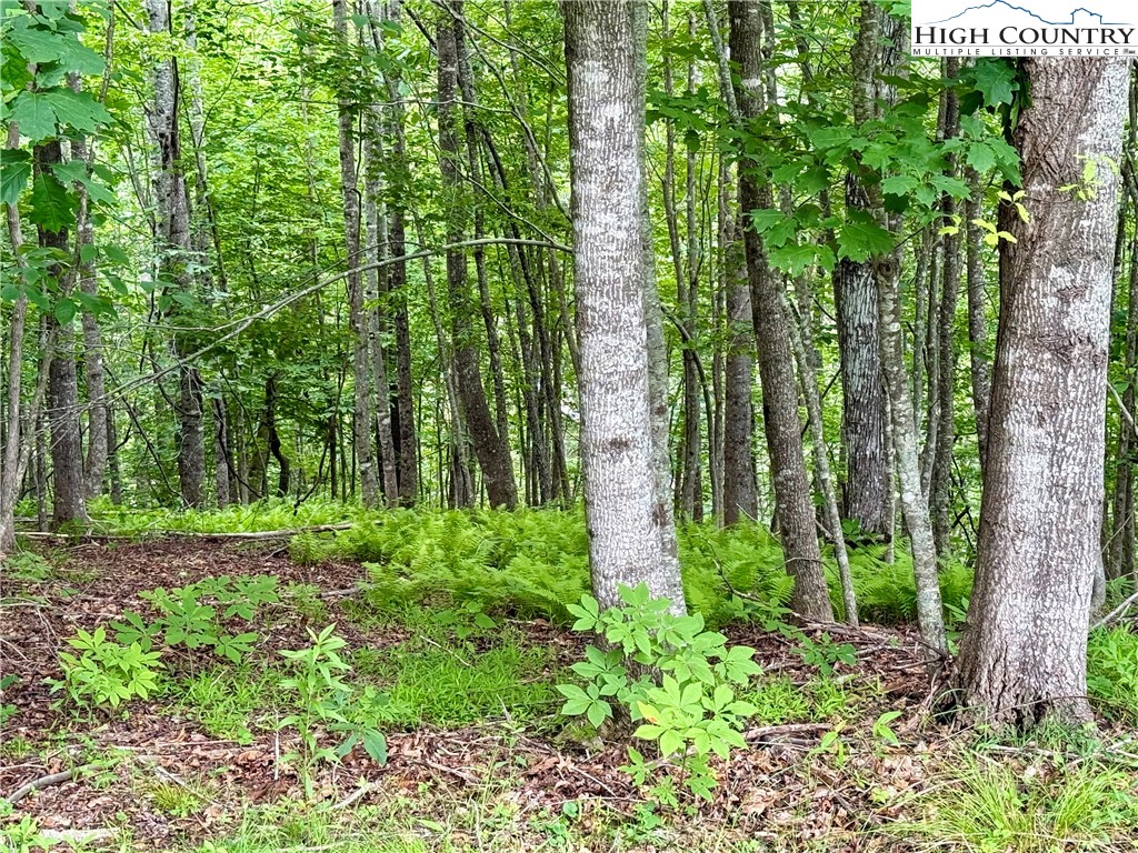 Lot 20 Twin Bridges Circle
