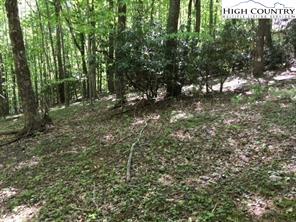 Lot 31 Walter Drive