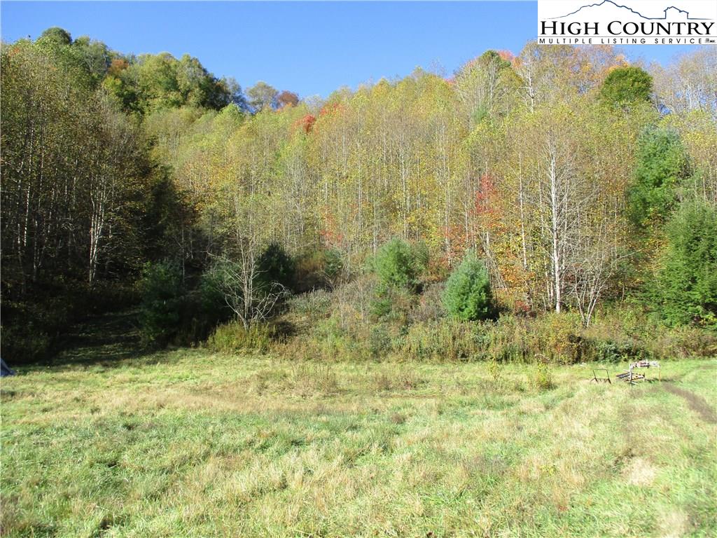 MLS 218843 TBD West Brushy Fork Road, Zionville, NC 28698