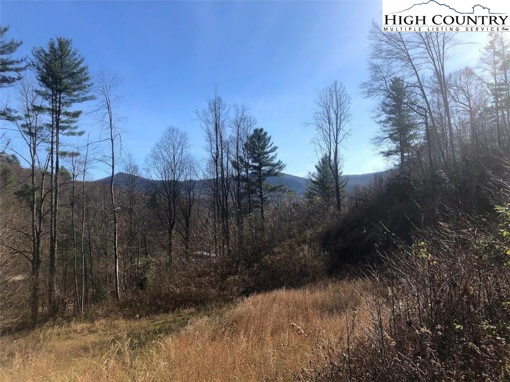 MLS 226835 TBD West Mill Creek Road, Warrensville, NC 28693