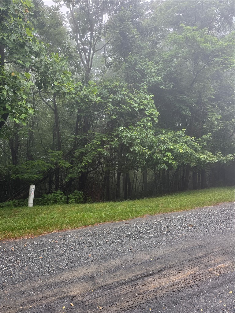 tbd Wildcat Estates Drive