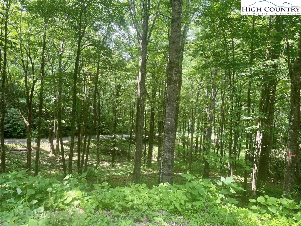 Lot 23 Woodland Way