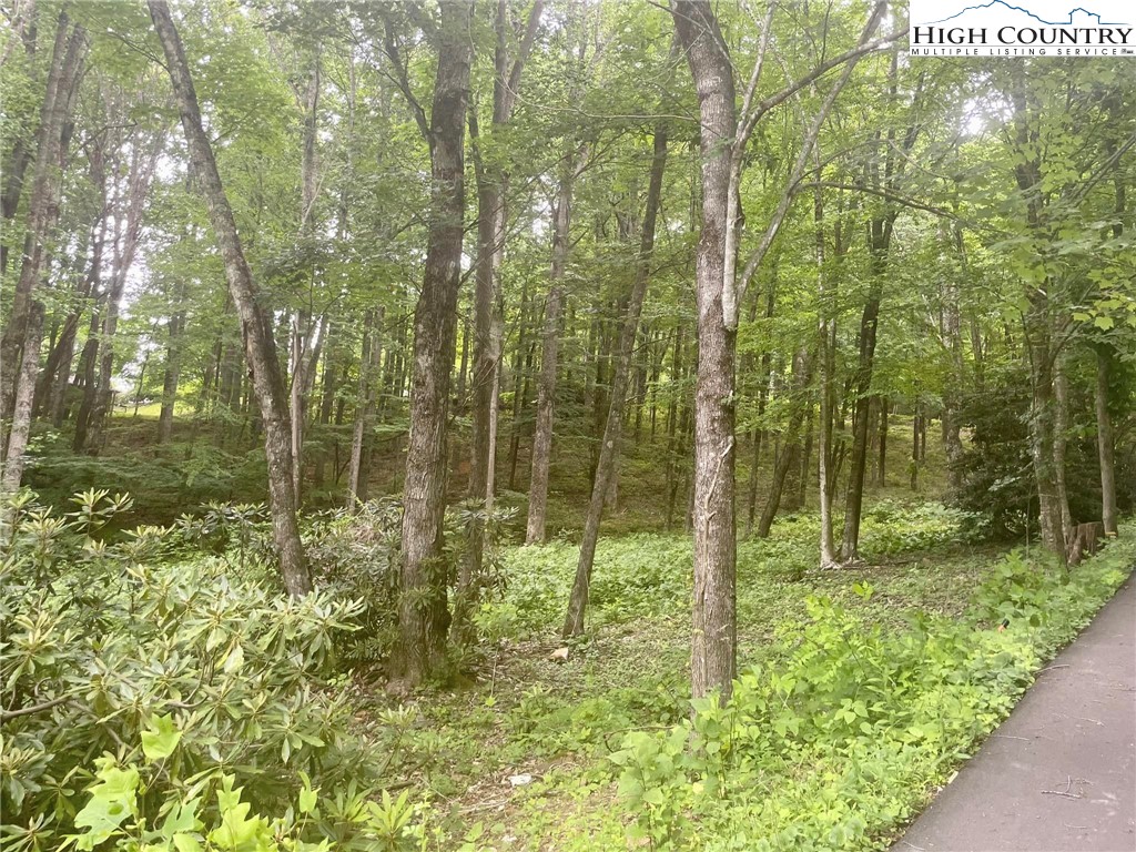 Lot 24 Woodland Way