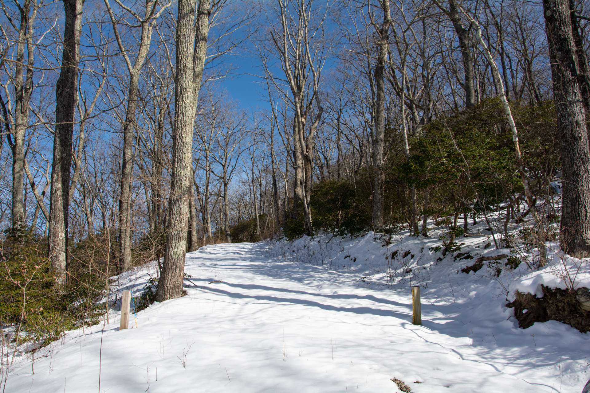 Combination of Lots 6 & 7 in Laurel Mountain Estates offering one, possibly two, building sites with rights to the community well.