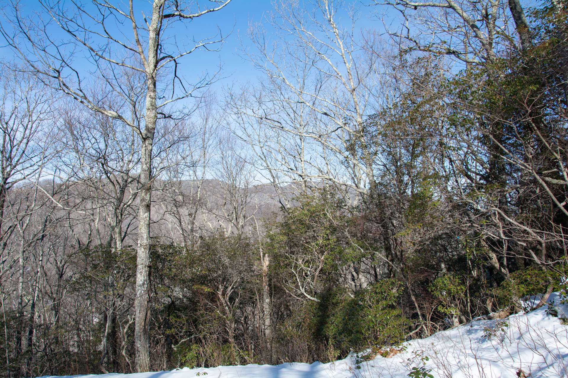 This beautifully wooded mountain home site is the ideal choice for your NC Mountain retreat cabin or primary home.