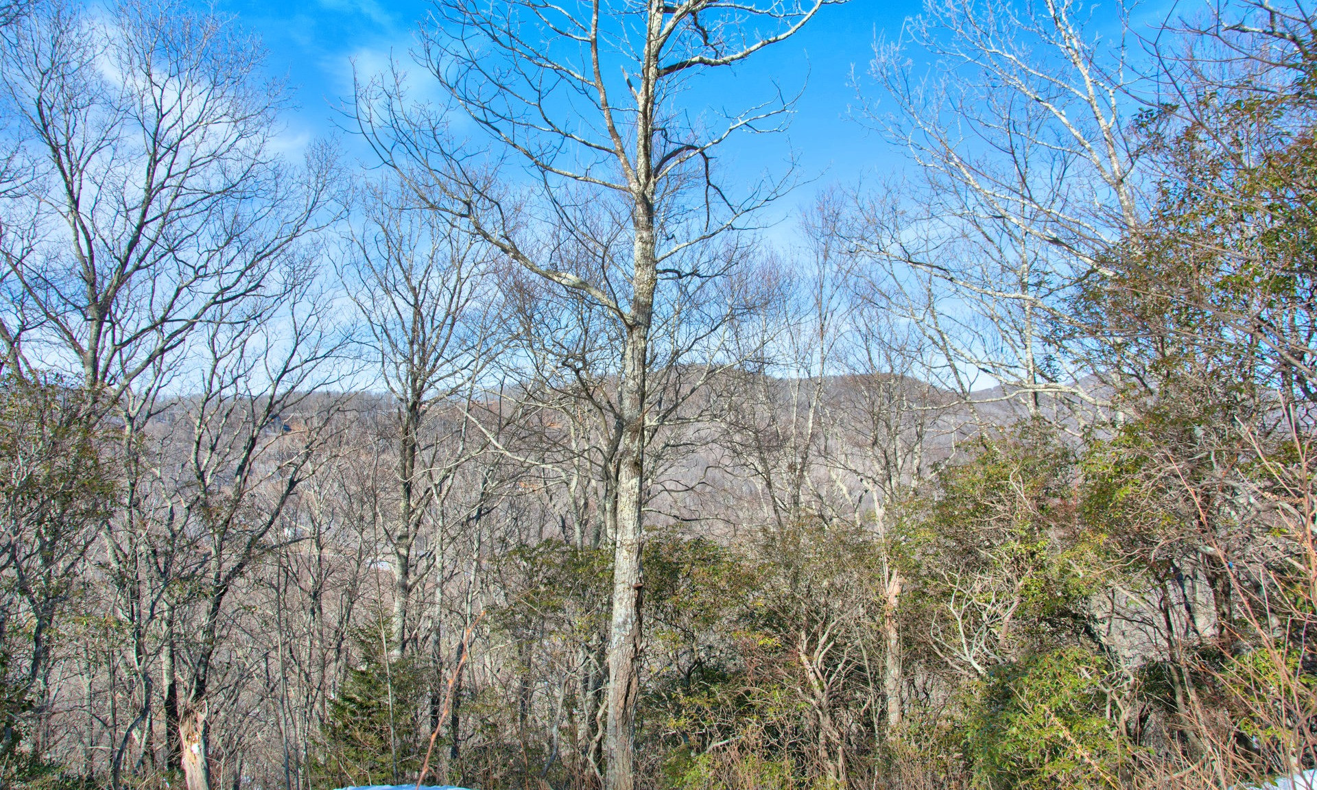 These lots are located at the end of Birdcall Lane with a small cul-de-sac in place. Featuring rock outcroppings, mountain laurel and seasonal mountain views, this would make a beautiful site for a mountain home in the popular Todd address.