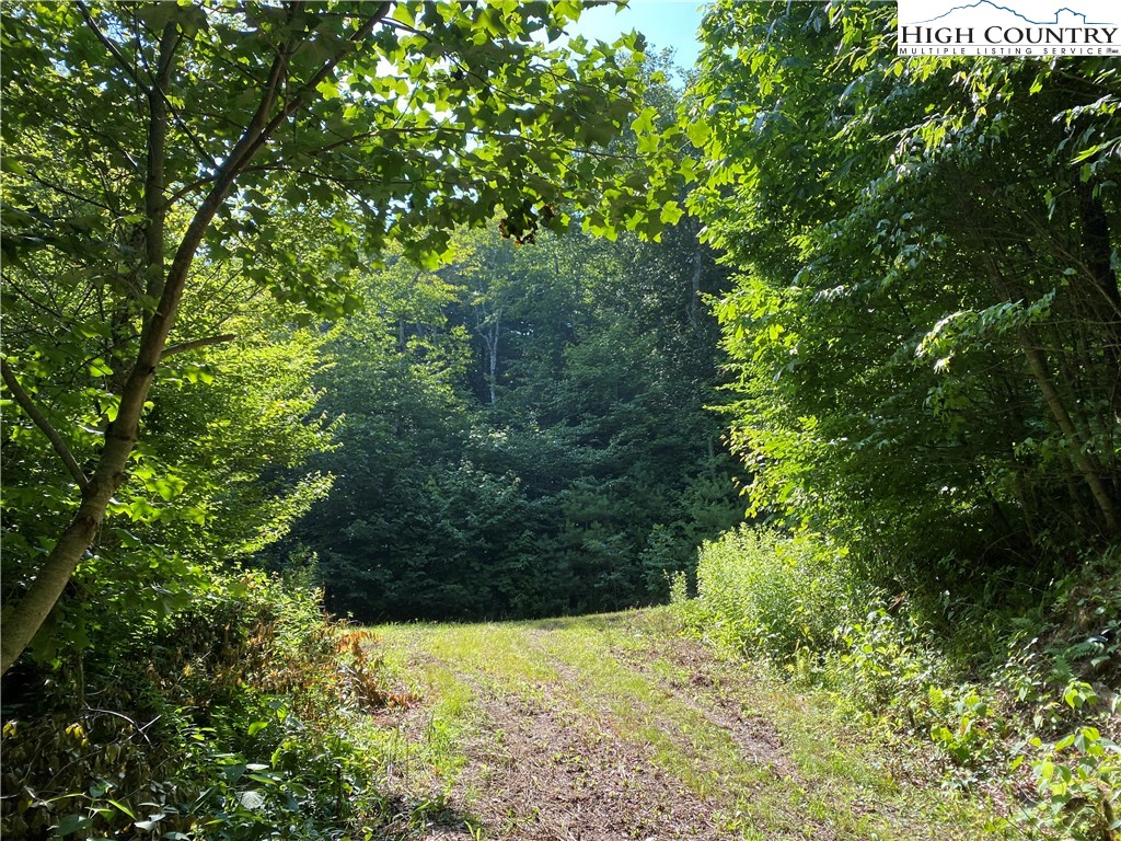 Tract 1 Spring Mountain Trail